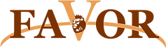 Buy a tour to Europe, Israel, Turkey and other countries from Favor Travel Tours 